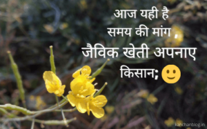 जैविक खेती की जानकारी /organic farming