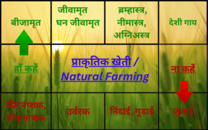 प्राकृतिक खेती / NATURAL FARMING/ गौ आधारित प्राकृतिक खेती